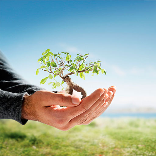 EDUCAÇÃO AMBIENTAL